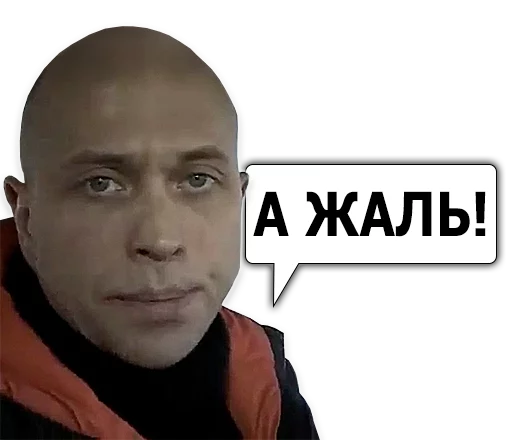 Telegram stiker «Сергей Дружко» 😔