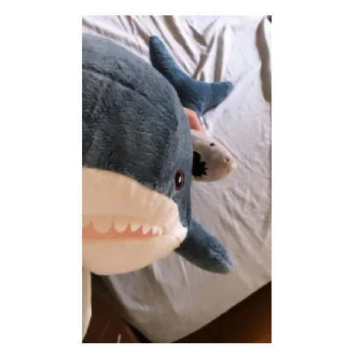 Стікер shark 🥺