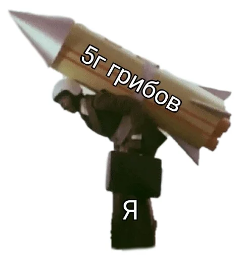 Telegram stiker «Shizoterika» 🚀
