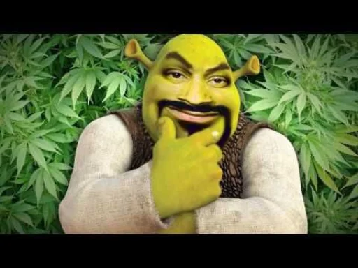 Стікер Shrek ❤ 😏