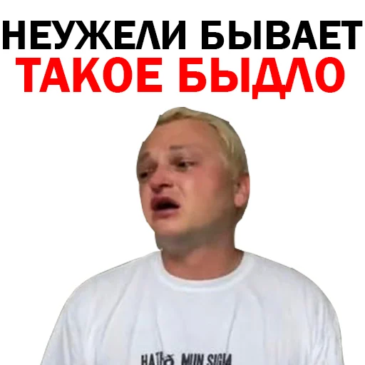 Похититель Ароматов Шура Стоун sticker 🙄