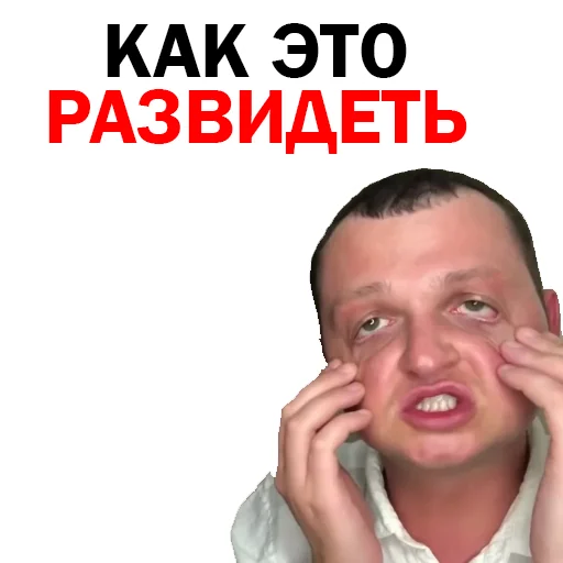 Похититель Ароматов Шура Стоун sticker 🥺