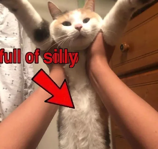 Стикер Silly Milly 🤰