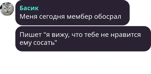 Telegram Sticker «Симба » 🙃
