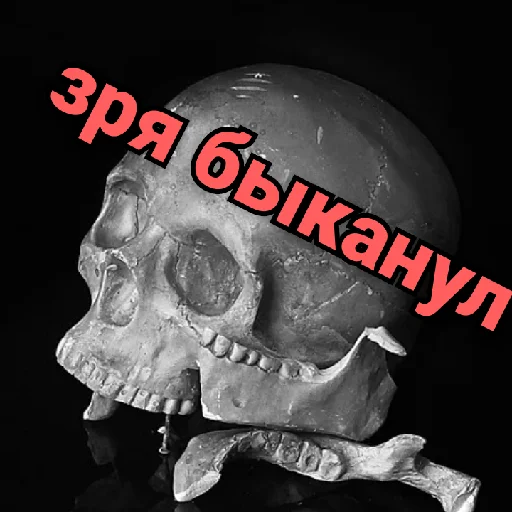 Telegram stiker «Несносный скелет Джо» 🧜‍♀️