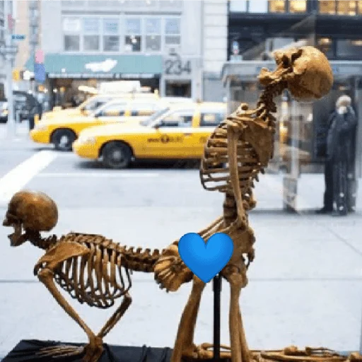 Несносный скелет Джо emoji 💪