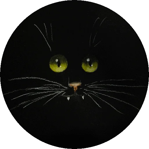 Telegram Sticker «Sketch cats» 🌚