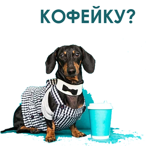 Telegram stickers Собака Правдоруб