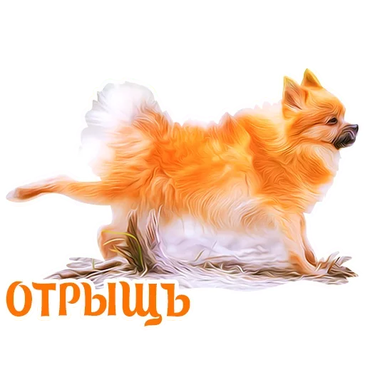 Telegram Sticker «Puppy» 🧐