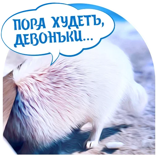 Telegram Sticker «Puppy» 😫
