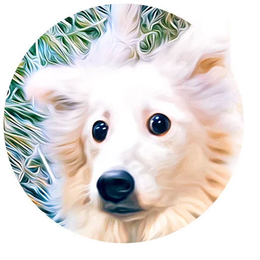 Telegram stiker «Puppy» 🥺