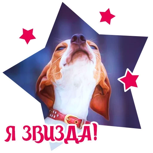 Telegram Sticker «Puppy» 😡