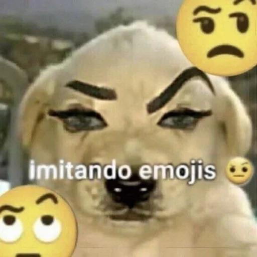 собаки emoji 🤨