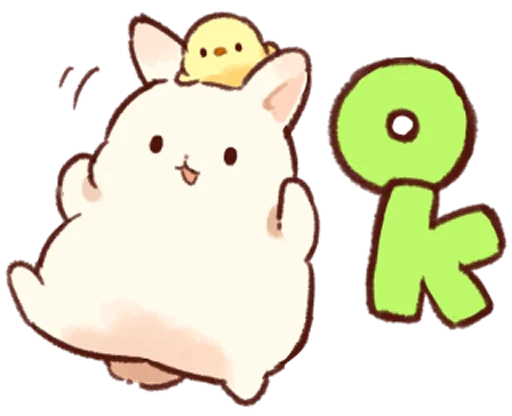 Soft and cute rabbits  emoji 🆗