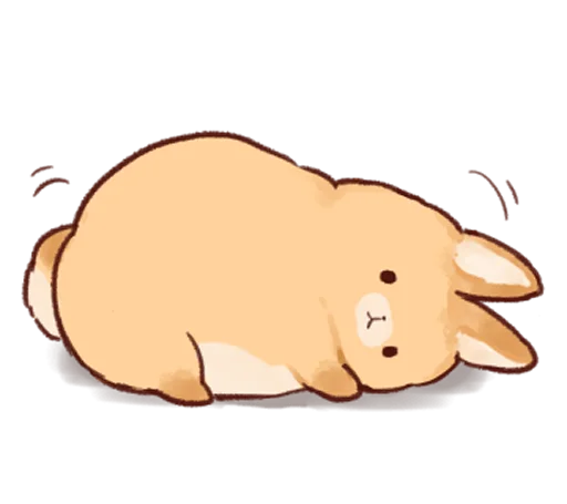 Soft and cute rabbits  emoji 😌