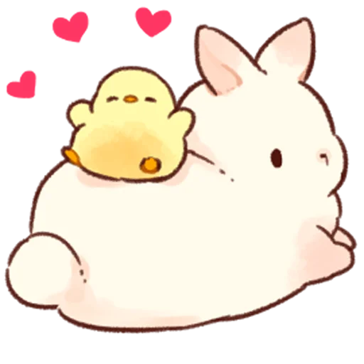 Soft and cute rabbits  emoji 🥰