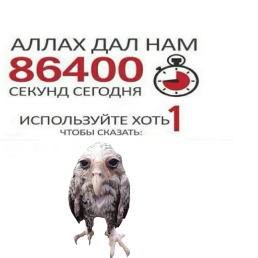 Telegram stiker «Солевая сова» ❗