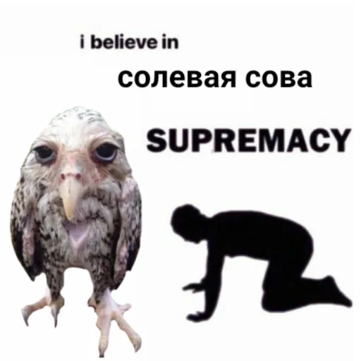 Эмодзи Солевая сова 🧎‍♂