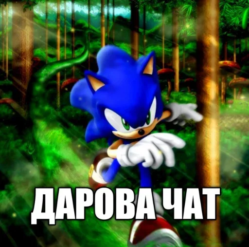 Sonic ➡️ sticker 😤