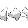 Telegram emojisi «Палочки 5» ➖