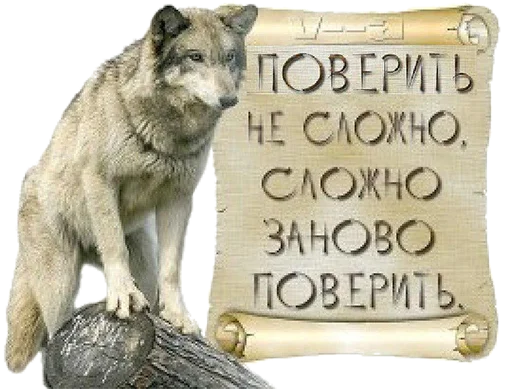 Telegram stiker «Сильный не тот, кто сильный» 🐺
