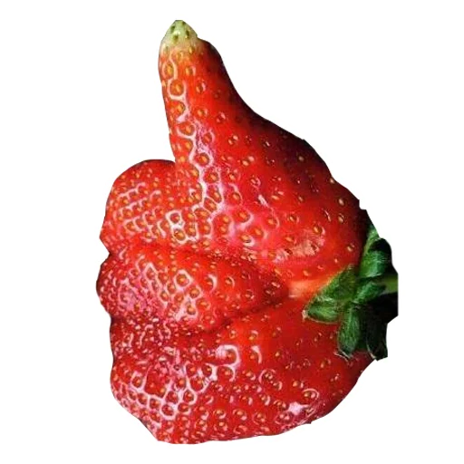 Telegram Sticker «Обалденный урожай!» 👍