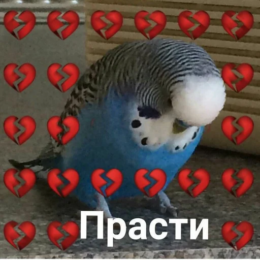 Telegram Sticker «Мемы» 💔