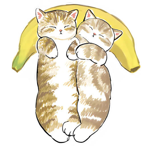 Сладкие котята  emoji 🍌