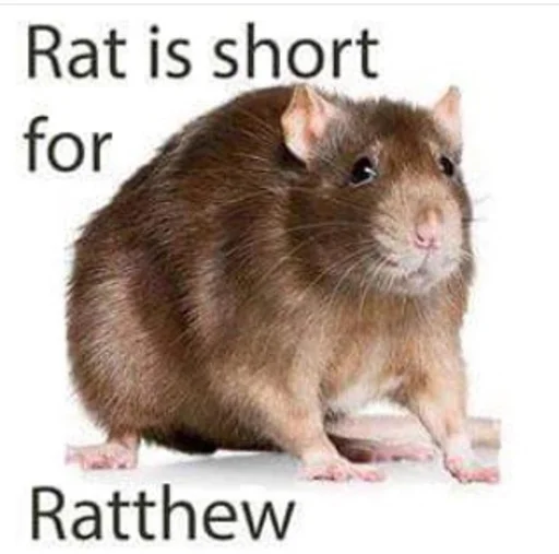 Take this rat! emoji ?