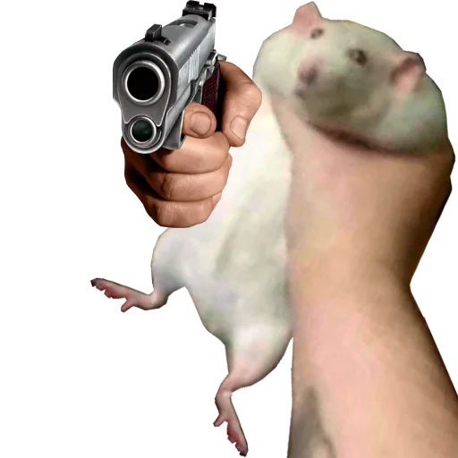 Take this rat! stiker 🔫