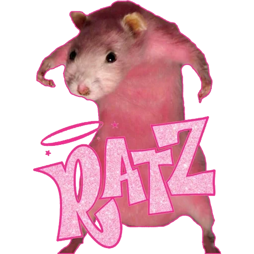 Стікер Take this rat! ✨