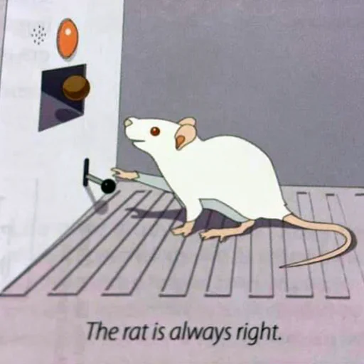 Стікер Take this rat! ✅