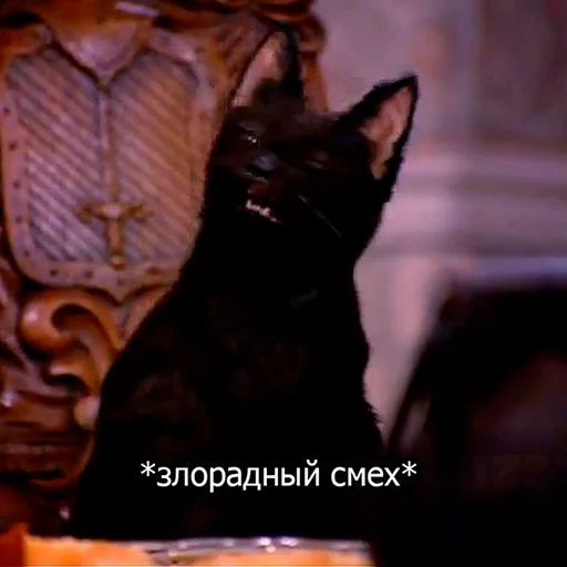 Cat Salem emoji 😈