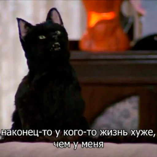 Telegram stiker «Cat Salem» 😬