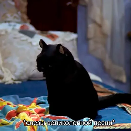 Эмодзи Cat Salem 😻