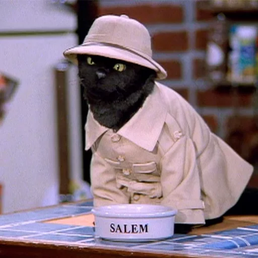 Telegram Sticker «Cat Salem» 