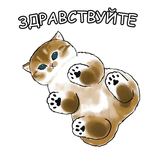 Cats | Котики sticker 🤝