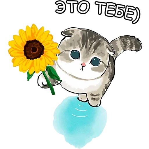 Telegram Sticker «Cats | Котики» 😉