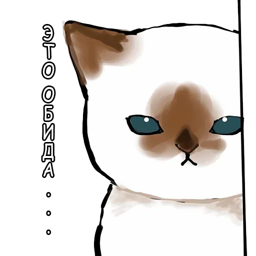Cats | Котики stiker 😡