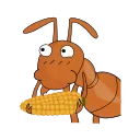 The ants DNTworry stiker 🌽