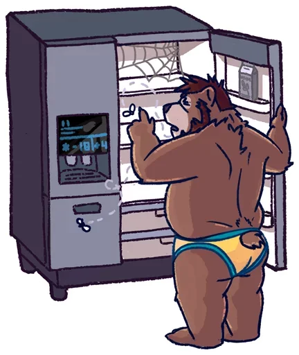 The BEAR sticker 🤩