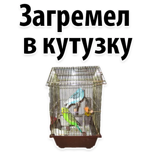 Telegram Sticker «Молодёжный сленг» 