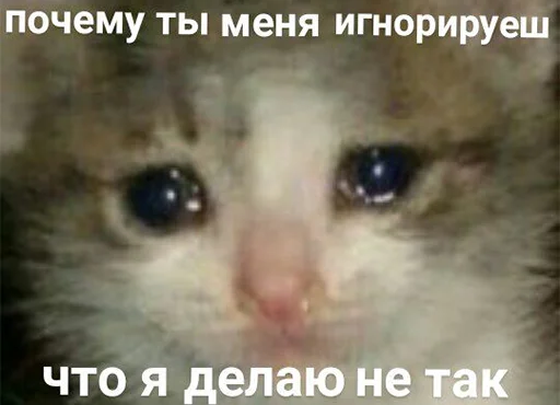 The crying cats emoji 😭