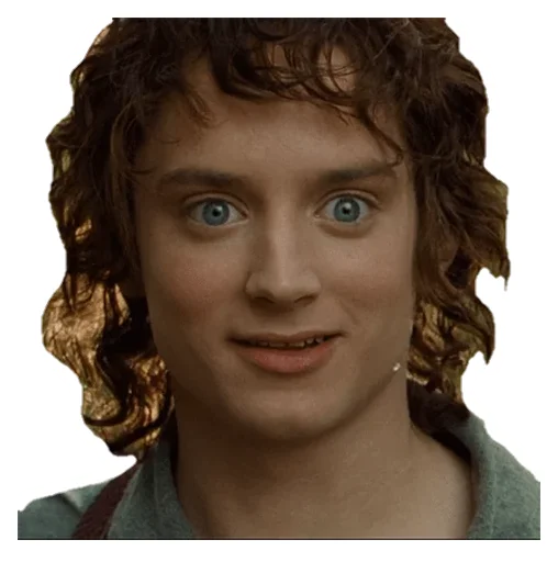 Telegram Sticker «The Lord of the Rings» 😳