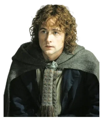 Telegram Sticker «The Lord of the Rings» 😶