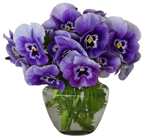 Стікери телеграм The Violet Flower