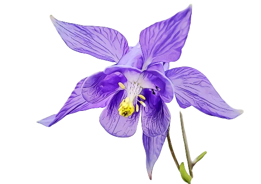 Telegram Sticker «The Violet Flower» 💙