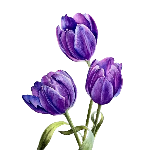 Стікер Telegram «The Violet Flower» 💝
