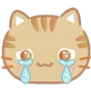 Cats emoji 🥲