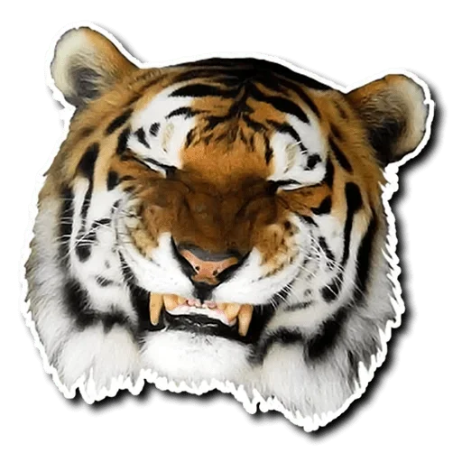 Telegram stikerlari Tiger Tiger